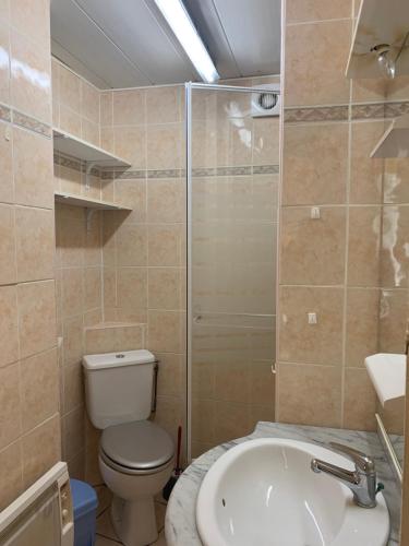 een badkamer met een toilet, een wastafel en een douche bij SAINT ANTOINE in Marcoux