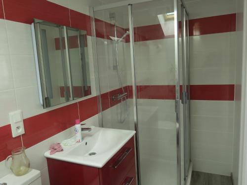 une salle de bain avec un lavabo blanc et une douche dans l'établissement le 12, à Villefranche-de-Rouergue