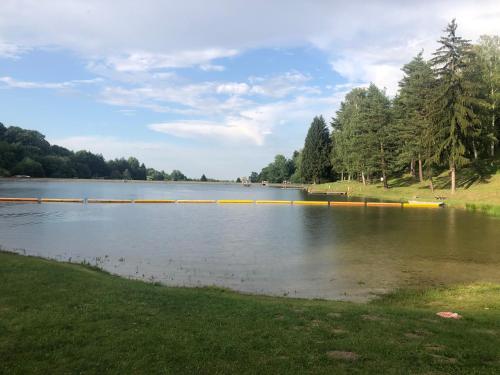 a large body of water with trees in the background at Villa Rafael in Forchtenau