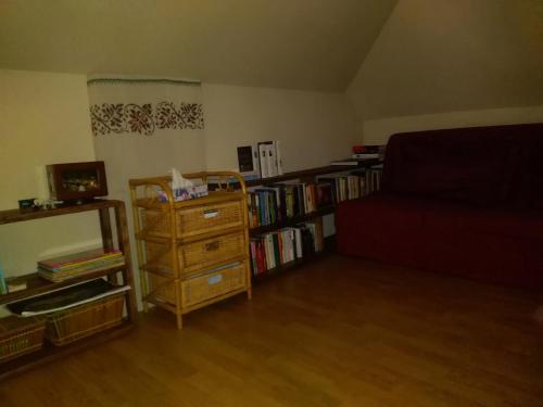 una sala de estar con una estantería llena de libros en Uroczysko Ludwinowo na Podlasiu en Łuka