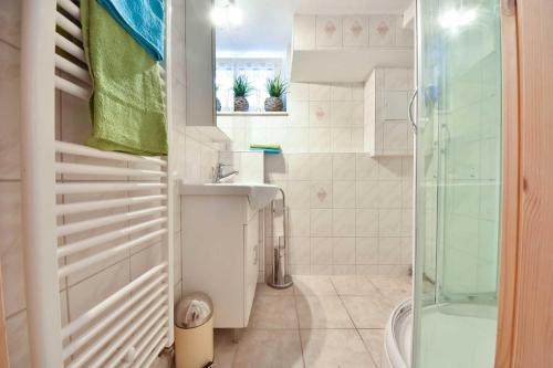 uma casa de banho com um lavatório e um chuveiro em Ferienwohnung Salamander em Bansin