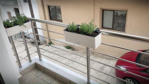 Φωτογραφία από το άλμπουμ του The green apartment στην Καβάλα