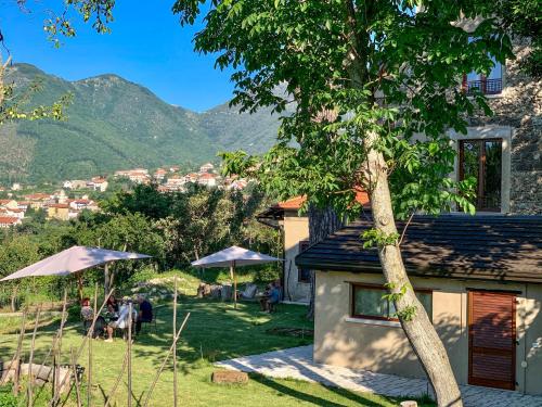a tree in the yard of a house with mountains in the background at Tenuta Novecento Bioagriturismo in Agerola