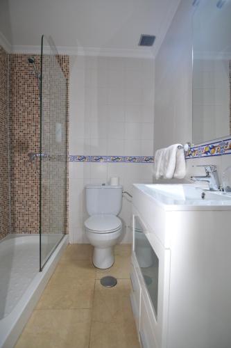 a bathroom with a toilet and a sink and a shower at Hostería El Bodegón De Gredos in Arenas de San Pedro