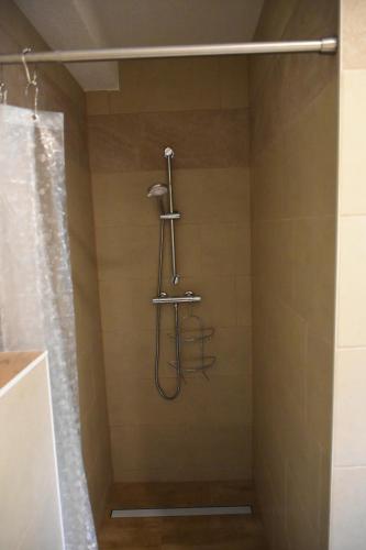 a shower with a shower head in a bathroom at Ferienwohnung am Dorm in Süpplingenburg