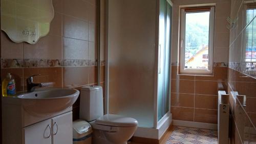 a bathroom with a toilet and a sink and a window at Мамина Хата in Mykulychyn