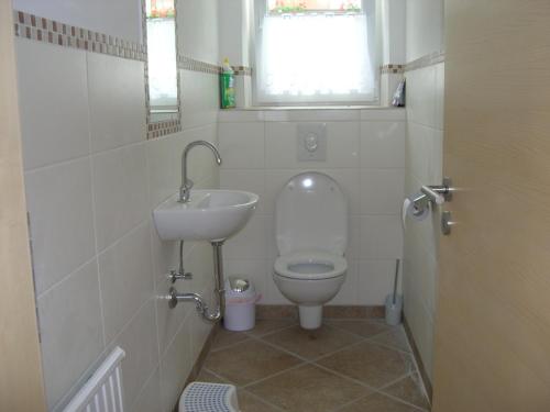 a small bathroom with a toilet and a sink at Ferienwohnung Fritz 2 Obergeschoss in Stuhlfelden