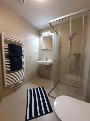 La salle de bains est pourvue d'une douche et d'un lavabo. dans l'établissement MODERN APARTMENT WITH TERRACE AND GARAGE in THE CITY CENTER, à Plzeň