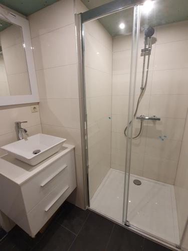 a bathroom with a shower and a sink at Das Herzchen von Cochem in Cochem