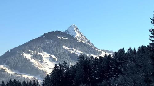 別荘から撮影された、または一般的な山の景色