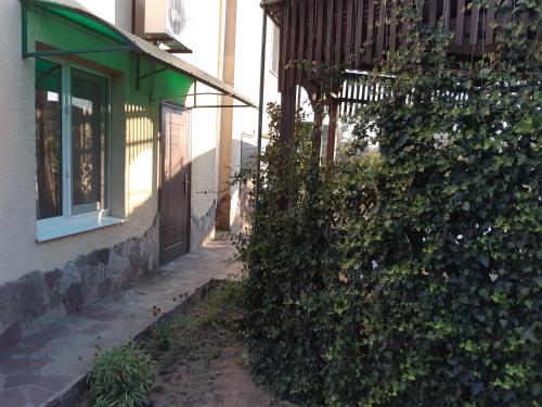 a bush next to a building with a window at Отель Маленький Рай in Zatoka