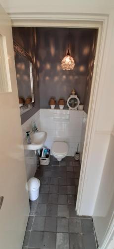 een badkamer met een toilet, een wastafel en een spiegel bij Oudegracht Alkmaar in Alkmaar