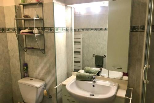 ein Badezimmer mit einem Waschbecken, einem WC und einem Spiegel in der Unterkunft Joli 2 pièces à 150m de la plage in Nizza