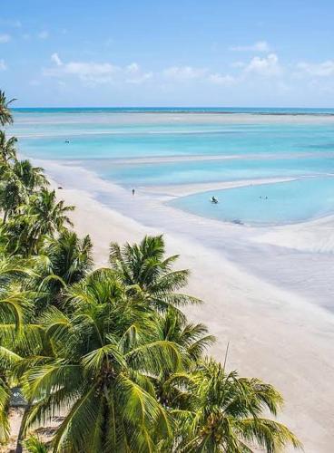 a view of a beach with palm trees and the ocean at Pousada Orla dos Corais in Maragogi