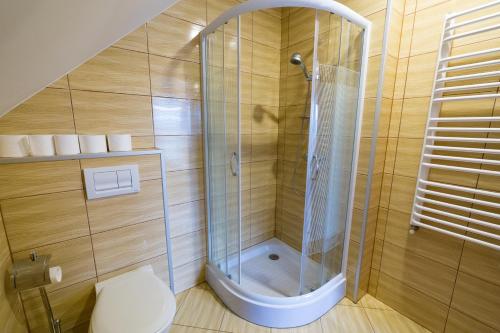 a bathroom with a shower with a toilet in it at Cichy Zakątek in Lesko