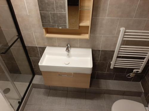 a bathroom with a sink and a mirror and a toilet at La Casita villa avec piscine prés d'Uzes in Saint-Laurent-la-Vernède