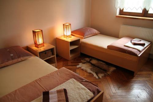 een slaapkamer met 2 bedden en een hond op de vloer bij Apartment Eva in Rakovica