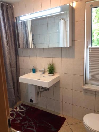 La salle de bains est pourvue d'un lavabo, d'un miroir et de toilettes. dans l'établissement Ferienhaus 1 Am Eichenberg, à Blankenburg