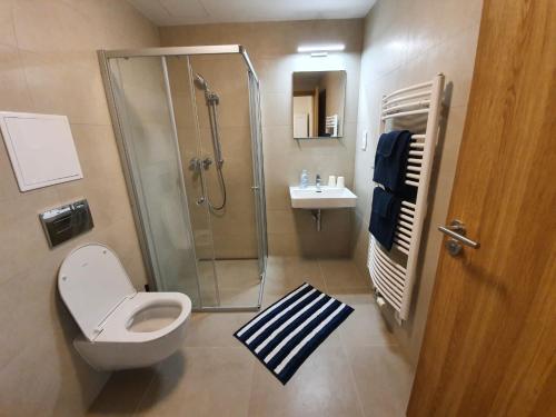 ein Bad mit einer Dusche, einem WC und einem Waschbecken in der Unterkunft STYLISH APARTMENT WITH TERRACE AND GARAGE in THE CITY CENTER in Pilsen