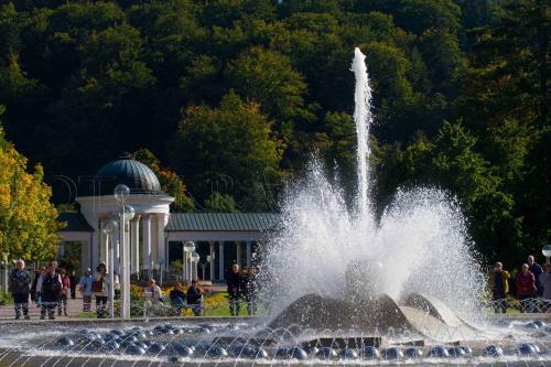 a fountain in a park with people standing around it at Apartment Anglicka 138 in Mariánské Lázně