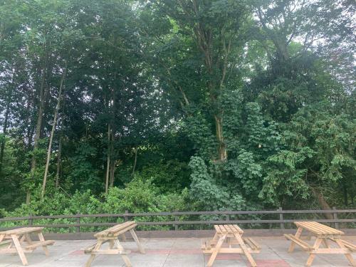 two wooden benches sitting on a patio in front of trees at The Dukes Head in Armathwaite