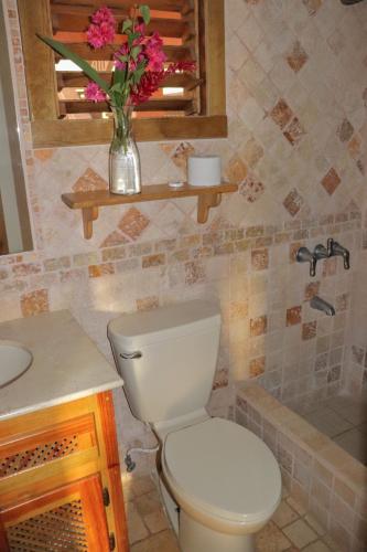 a bathroom with a toilet and a sink and a vase of flowers at Hotel Posada Seremein ,West Bay ,Roatan in West Bay