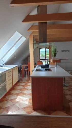 Virtuvė arba virtuvėlė apgyvendinimo įstaigoje Apartmán Mikulov