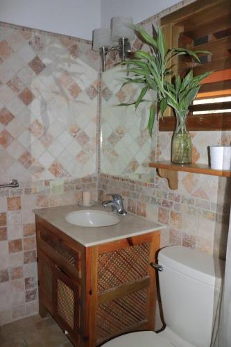 a bathroom with a sink and a toilet and a plant at Hotel Posada Seremein ,West Bay ,Roatan in West Bay