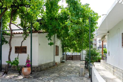 Κήπος έξω από το Irene Seafront Apartment
