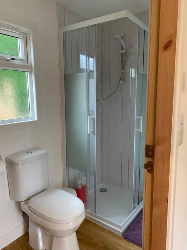 a bathroom with a toilet and a shower at Highland HotTub Retreat, on NC500 in Inverness