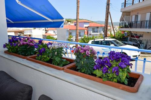 three flowerpots on a balcony with purple flowers at Pella Hotel - new in Neos Marmaras