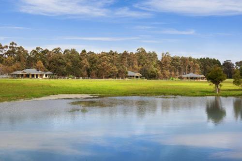 a pond in a field with houses in the background at Redgate Forest Retreat in Witchcliffe