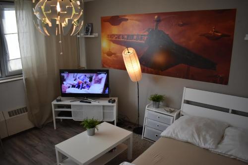 een woonkamer met een bed en een televisie bij FeWo Köln in Keulen