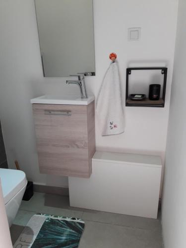 Vonios kambarys apgyvendinimo įstaigoje Maison TONGA piscine - jacuzzi confort