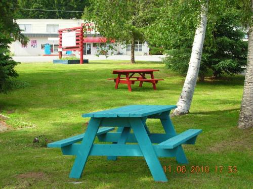 a blue picnic table sitting in a park at Overlook Inn & Cabins in Clearwater