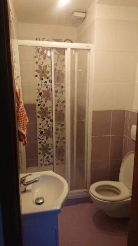 a bathroom with a toilet and a shower and a sink at Ubytování na farmě v Novohradských horách in Horní Stropnice