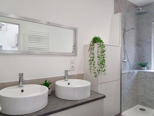 Baño blanco con 2 lavabos y espejo en Grand appartement sur les bvd à 2 pas de la gare, en Valence