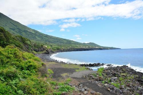 a view of the beach from the trail at Casa dos Botes - WhaleBoat House TER in São Caetano