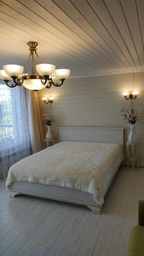 プリョスにある"Вдохновение Левитана" гостевой дом с видами на горе Левитанаの天井の大型ベッド付きのベッドルーム1室