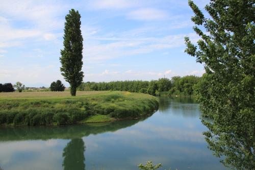 a river with a tree in the middle at Fattoria Grimana in Montegalda