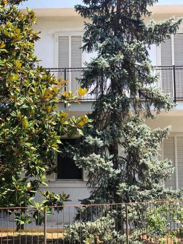 B&B Amendola - Quarto Duplo Com Casa De Banho Privada
