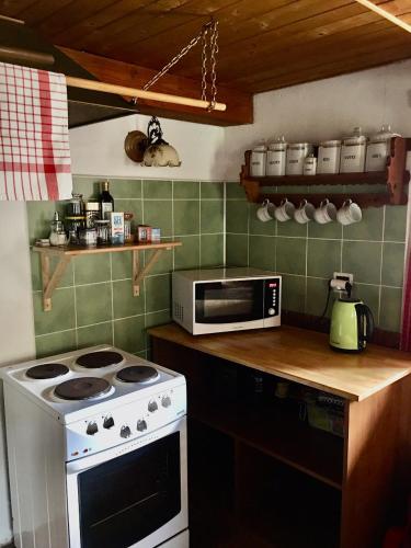 a kitchen with a stove and a microwave at Korenov 1256 in Kořenov