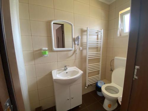 ein Badezimmer mit einem Waschbecken, einem WC und einem Spiegel in der Unterkunft Casa Gabriela in Sovata