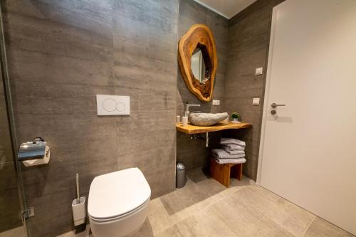a bathroom with a toilet and a mirror at Green & Breakfast Fjord in Niederpallen