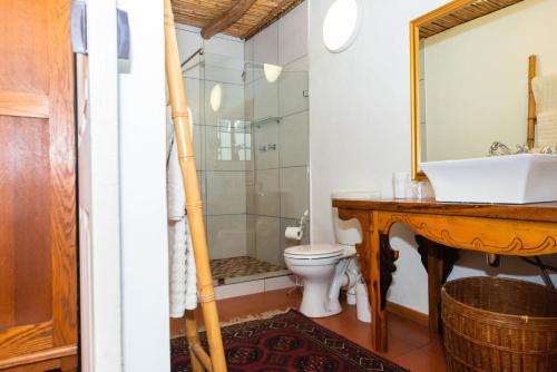a bathroom with a sink and a toilet and a shower at Melkboomsdrift Guest House & Conference Centre in Vredendal