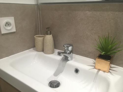 La salle de bains est pourvue d'un lavabo avec un robinet et une plante. dans l'établissement Studio hyper centre, proche gare, entrée indépendante, à Valence