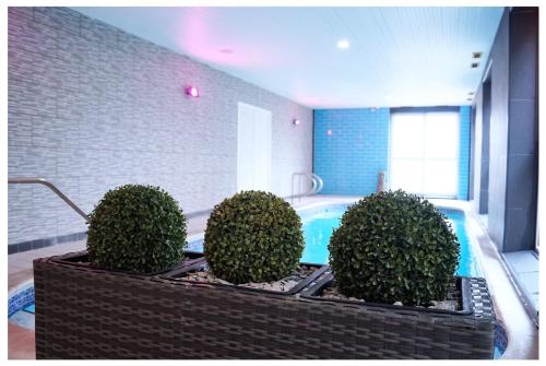 a bath tub with four bushes in a room at Bluewaters Hotel Blackpool in Blackpool