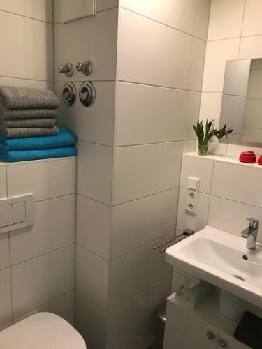 a bathroom with a toilet and a sink at Ferienwohnungen Wolke in Regensburg
