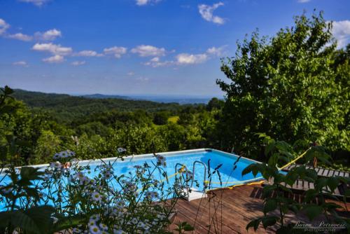 a swimming pool with a view of the ocean at Guest House Lagotto's Peak in Radatovići