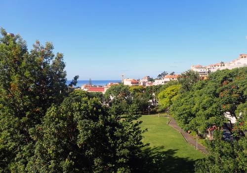 Funchal petrolhead apartment